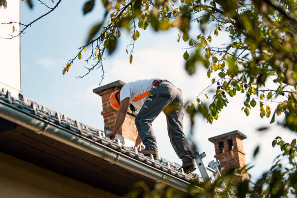 Best Roofing Contractor Near Me  in Mount Gilead, OH