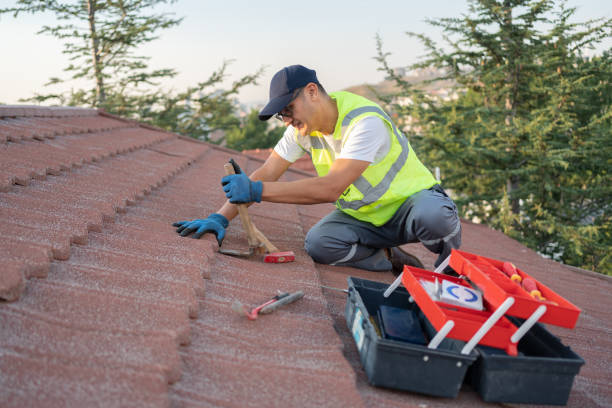 Best Gutter Installation and Roofing  in Mount Gilead, OH